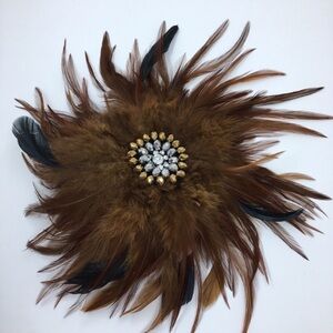 Large Feather Burst Brooch